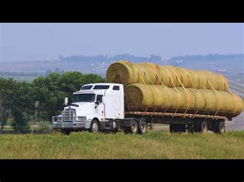 What Drought Relief Programs Are Available? | Kansas Forage and Grassland Council