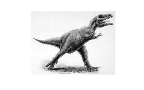 Albertosaurus dinosaurs , facts | pictures -Albertosaurus dinosaurs habitat.