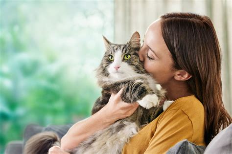 Survey Shows Cat Owners with Sensitivities Go to Lengths to Manage ...