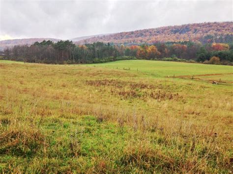 Western Pennsylvania Conservancy Protects Two Properties in December | WeConservePA