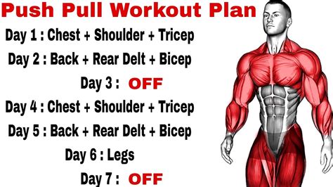 Push Pull Workout - Push Pull Legs Workout Plan - Sports Health Guide