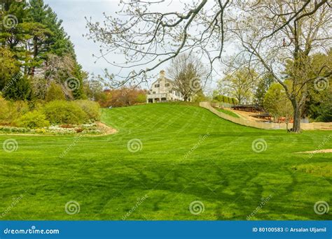 Lush Green Garden with House on Hilltop Stock Image - Image of radnor, flowers: 80100583