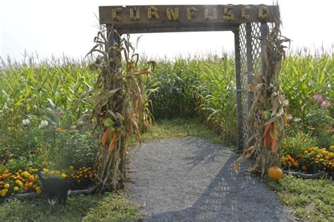 Corn Maze Events — Pine Ridge Farm