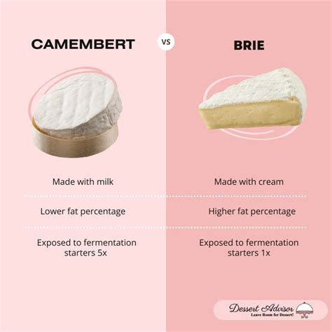 Camembert Cheese and Its Blooming Reflection of Historical Change