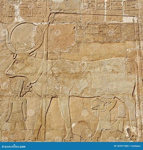 Relief Of Hatshepsut`s Trading Expedition To The Land Of Punt Royalty-Free Stock Photo ...