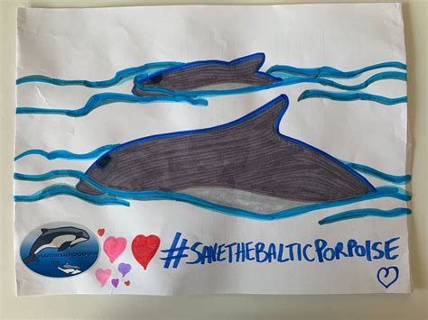 Save the Baltic harbour porpoise