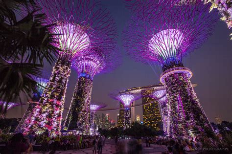 Spectacular Supertrees – Supertree Grove at Gardens by the Bay ...