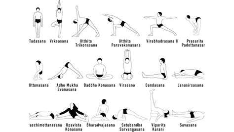 Hatha Yoga Definition | Blog Dandk