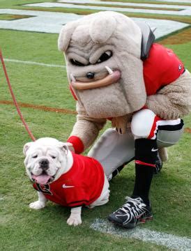 Mascot Monday: Uga and Hairy Dawg | KC College Gameday