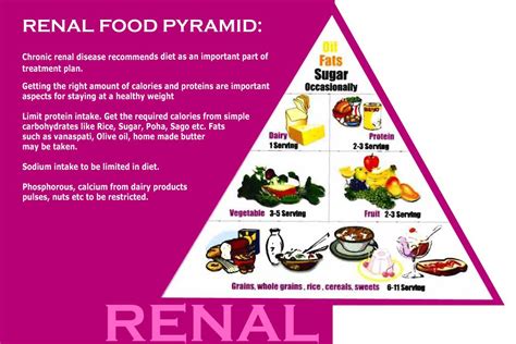 Kidney daily diet foods. http://renaldiet.us/ | Renal diet recipes, Renal diet, Dialysis diet