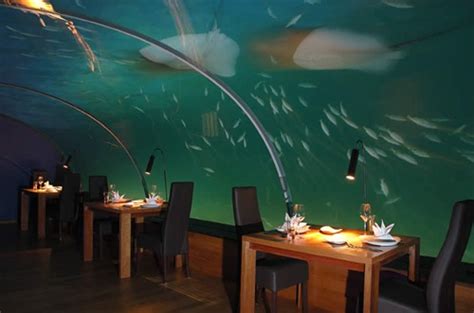 Ithaa: Fabulous Underwater Restaurant as well as Hotel in Maldives ...