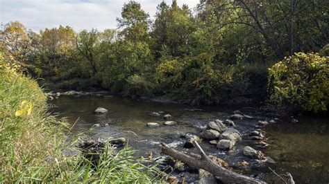 Turtle River State Park - Visit Grand Forks