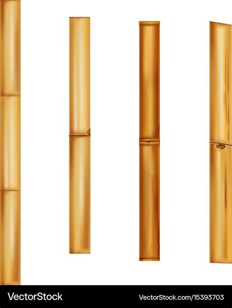 Bamboo stems realistic brown sticks Royalty Free Vector