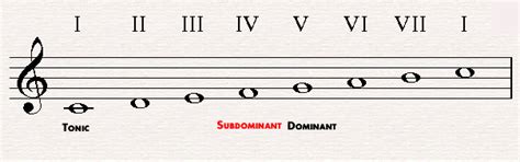 subdominant - meddic