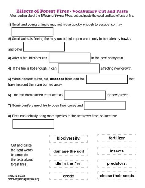 Effects of Forest Fires - Vocabulary Cut and Paste