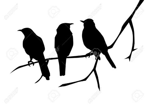 Afficher l'image d'origine | noir et blanc | Pinterest | Images, Oiseaux et Silhouettes