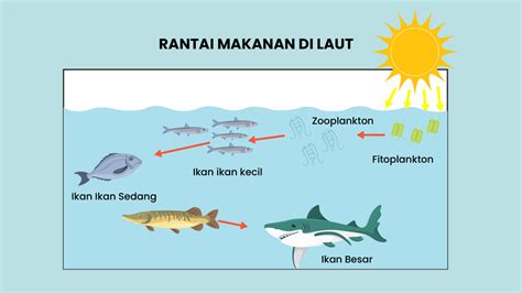 Detail Contoh Ekosistem Air Laut Koleksi Nomer 21