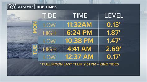 What's a king tide? Tampa Bay sees higher than normal water levels | wtsp.com