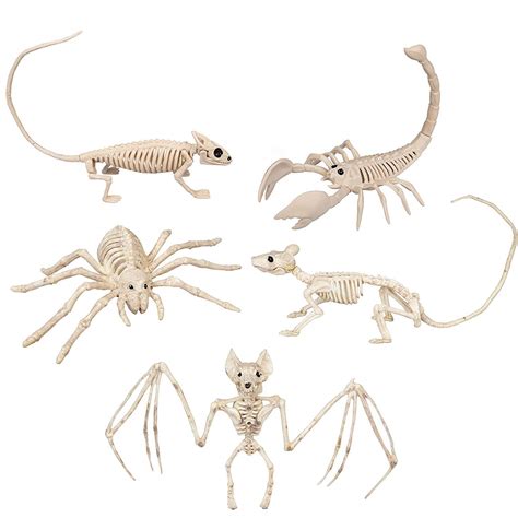 Buy Halloween Animal Skeletons 5 Pack (9"-15" Size) w Bendable Tails and Movable Jaws ...