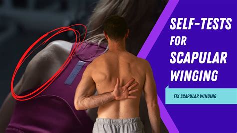 Self-testing for Scapular Winging & Shoulder Internal Rotation | Waugh ...