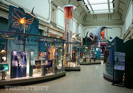 Washington DC Museums and Galleries: The District