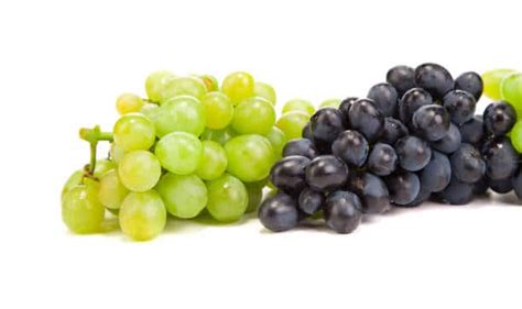 Black Grapes vs. Green Grapes: Which is Better for Your Health ...