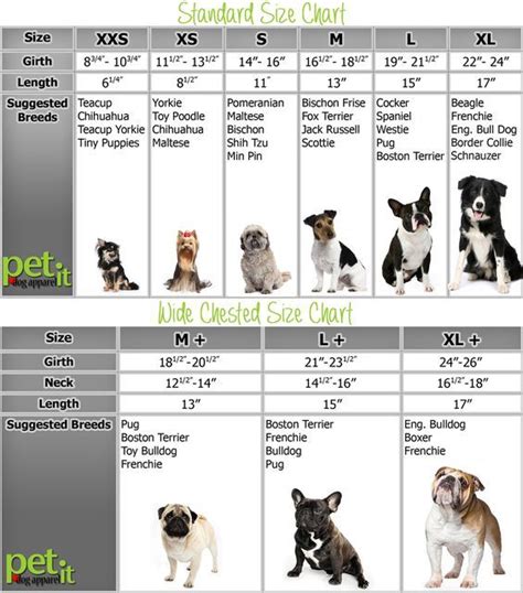 Dog clothing Size Chart: How to measure your dog to fit apparel ...