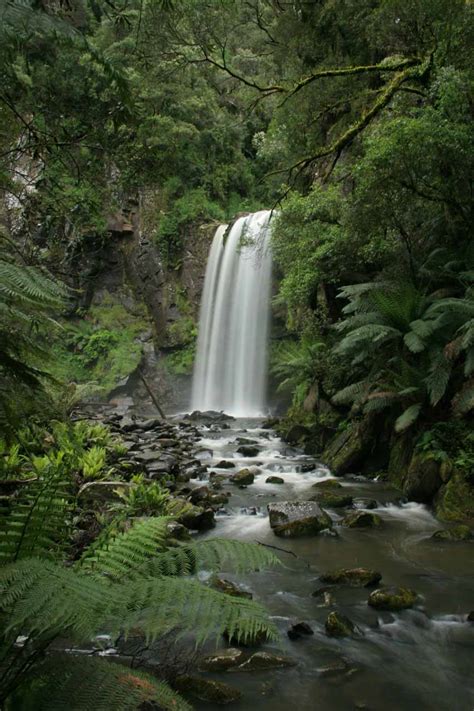 Hopetoun Falls (Great Otway National Park, Victoria, Australia)