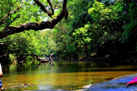 NISARGADHAMA FOREST - COORG Photos, Images and Wallpapers, HD Images, Near by Images - MouthShut.com