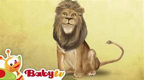 Squirrel Riddle Games With Animals BabyTV | atelier-yuwa.ciao.jp