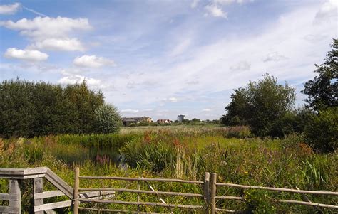 London Wetland Centre, London | Venue | Eventopedia