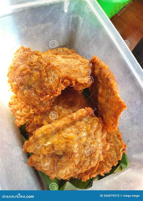 Tempe Goreng stock image. Image of goreng, tempe, indonesian - 266079573