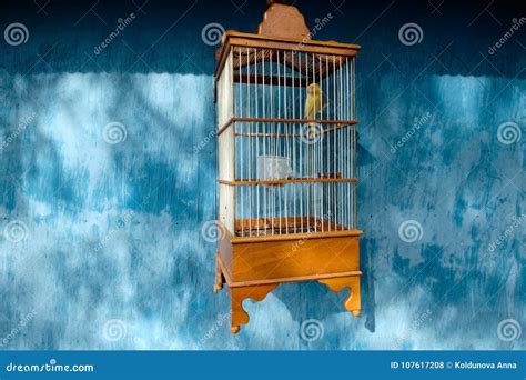 Yellow Canary in a Cage in the Blue Background Stock Photo - Image of ...