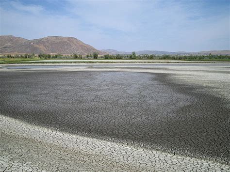 Earth's Internet & Natural Networking: San Jacinto River Wildlife Refuge & the wetlands ...