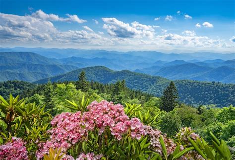 Top 10+ Best Place To Visit North Carolina