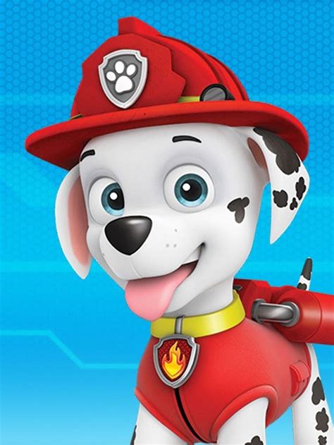 Paw Patrol Cartoon, Los Paw Patrol, Paw Patrol Pups, Chase Paw Patrol ...