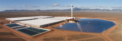 Australian desert farm grows 17,000 metric tons of vegetables with just seawater and sun ...