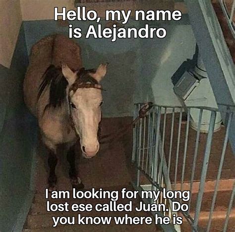 Horse Named Juan Meme - Captions Beautiful