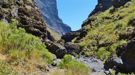 Masca Tenerife Hiking ADVENTURE: (Masca Gorge Walk) - Becky the Traveller