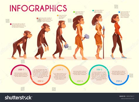 Human Evolution Chart For Kids