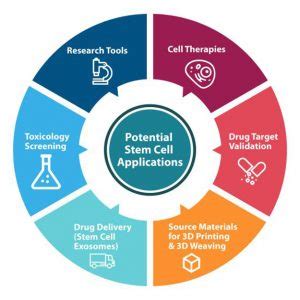 Stem Cell Applications- From Cell Therapy to Drug Development & Beyond