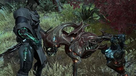 Warframe: All Resources in Duviri & How to Get Them - Gamepur