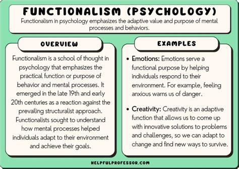 Functionalism in Psychology: Definition, Examples, Criticism (2024)