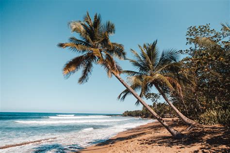 Rincon Puerto Rico: Your Guide to the Coolest Surf Town (2024) - Dana Berez