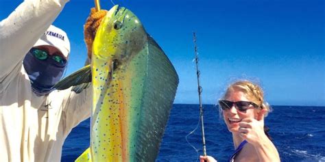 Puerto Rico Fishing Charters - Sport Fishing in La Parguera, Puerto Rico