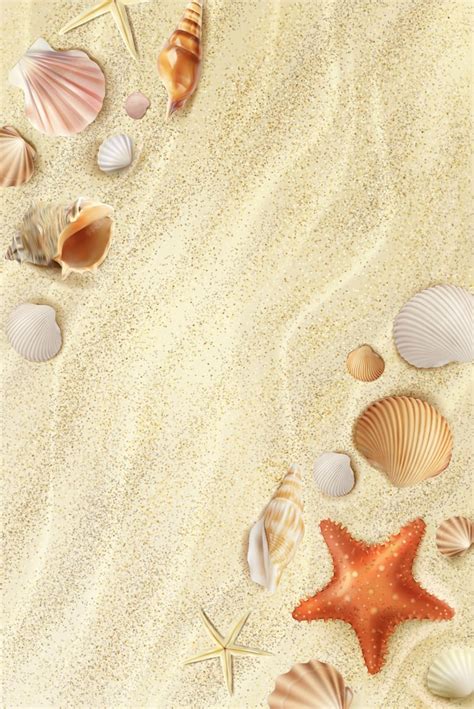 Premium Vector | Realistic beach seaside top view with seashells