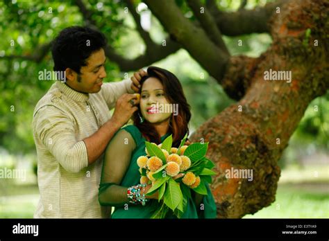 a couple present their love with kadam flowers. The Kadam flower, Anthocephalus cadamba, bloom ...