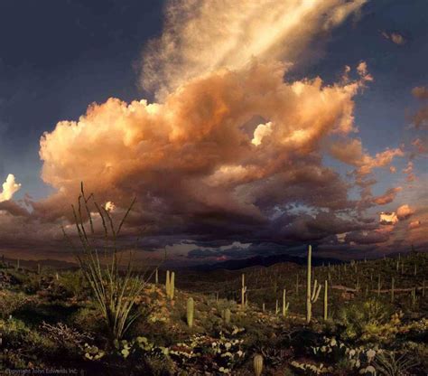 Monsoon Clouds Over Tucson AZ: Local Photographer, John Edwards ...