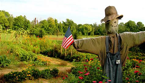 How To Make A Scarecrow From Farm Materials - Hobby Farms