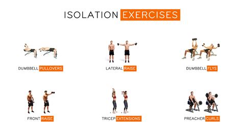 Compound Workout vs Isolation Workout - Which One Is Better? | Gympik Blog